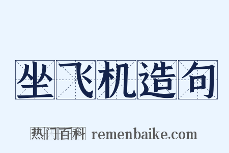 坐飞机造句是什么意思的图片